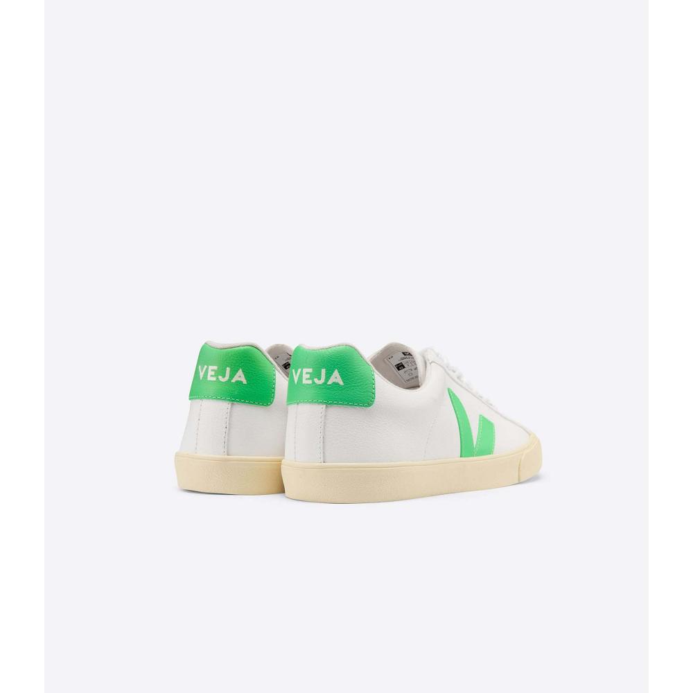 Veja ESPLAR CHROMEFREE BUTTER-SOLE Men's Sneakers White | NZ 301BEX